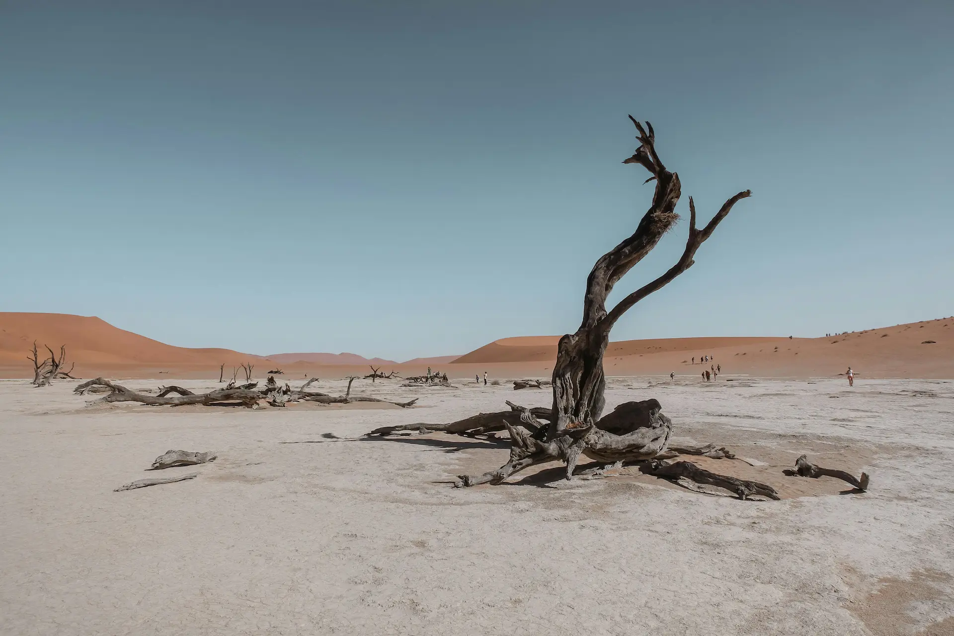 WordPress’ Big “Tragedy of the Commons” Problem