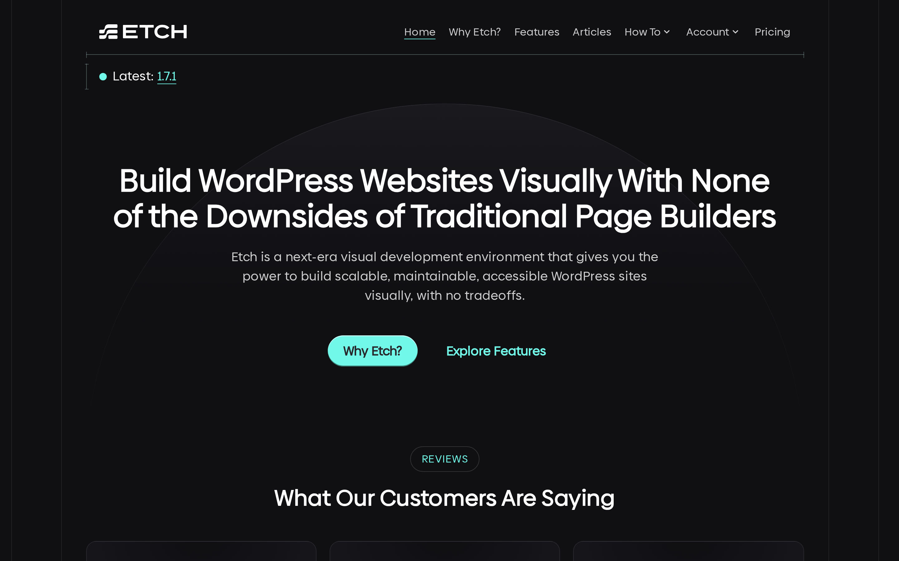 EtchWP screenshot