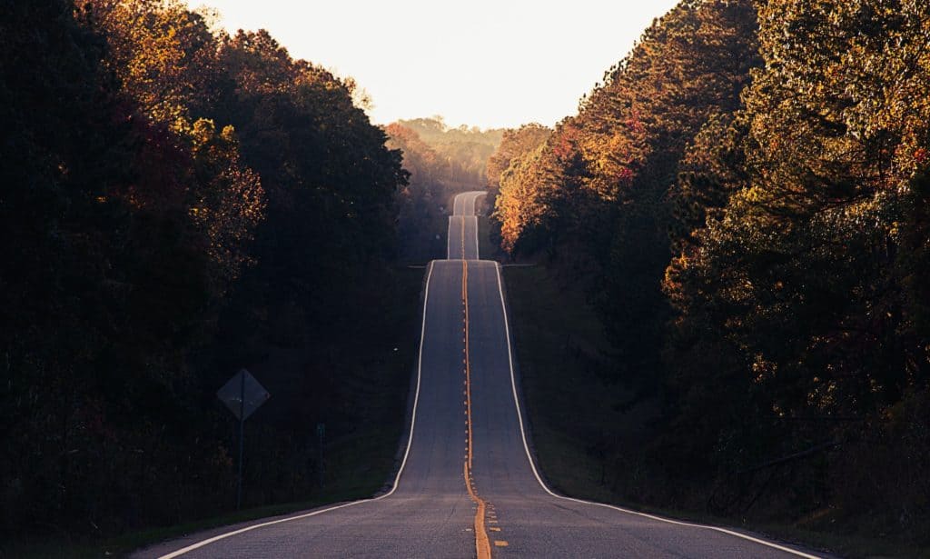 hilly paved road through a forest